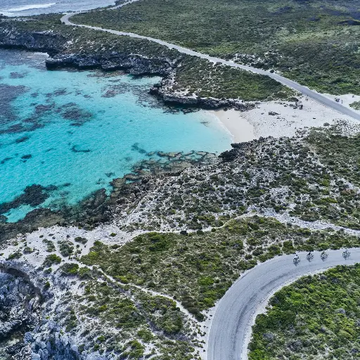 Paul's Eco E-Bike Tours, Salmon Bay