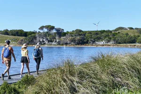 The Hike Collective Lakes & Bays Tour