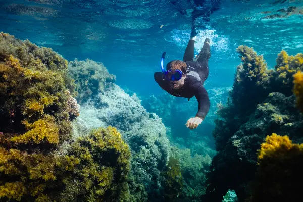 Snorkelling