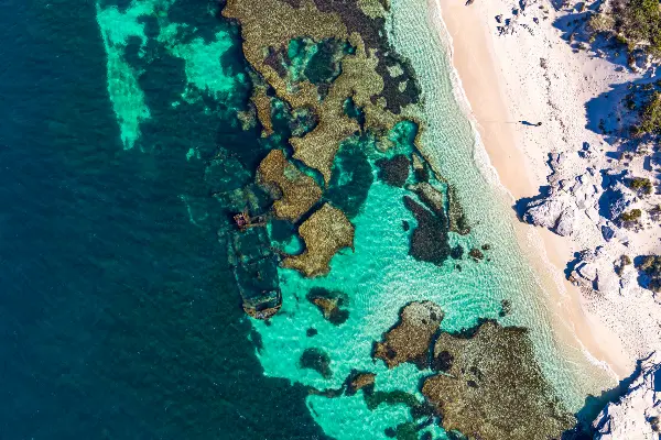 Wreck of Shark, Henrietta Rocks