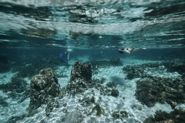 Snorkelling, Little Salmon Bay