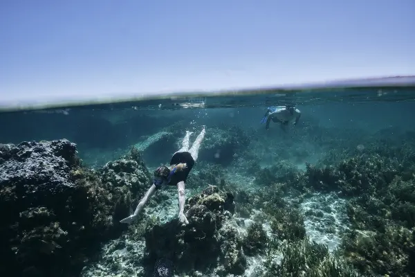 Snorkelling, Rocky Bay