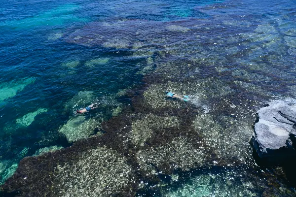 Snorkelling, Rocky Bay