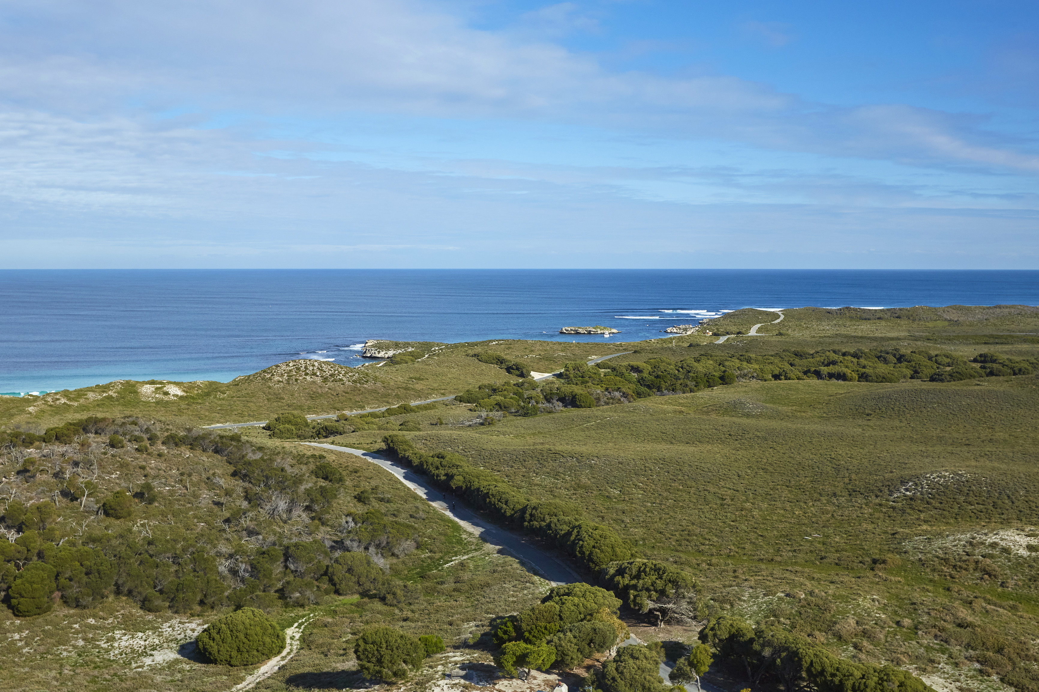 Coastal heath