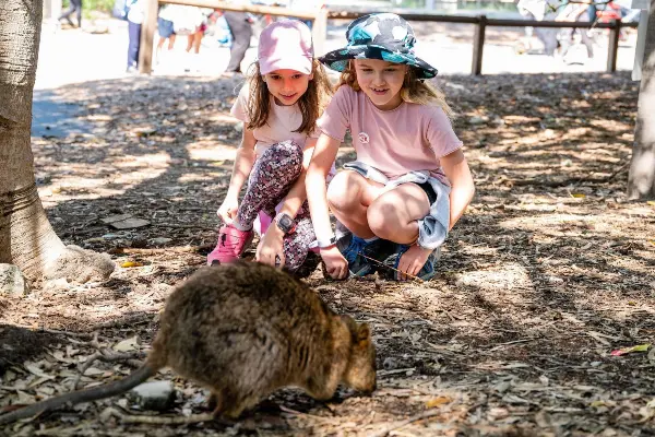 Two girls observing a quokka foraging in the mulch.