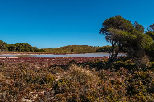 Salt Lakes at Rottnest Island