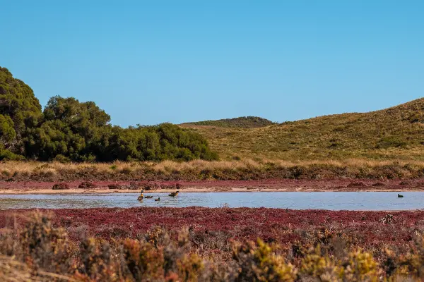 Salt Lakes at Rottnest Island