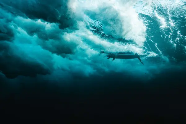 Surfing at Rottnest Island