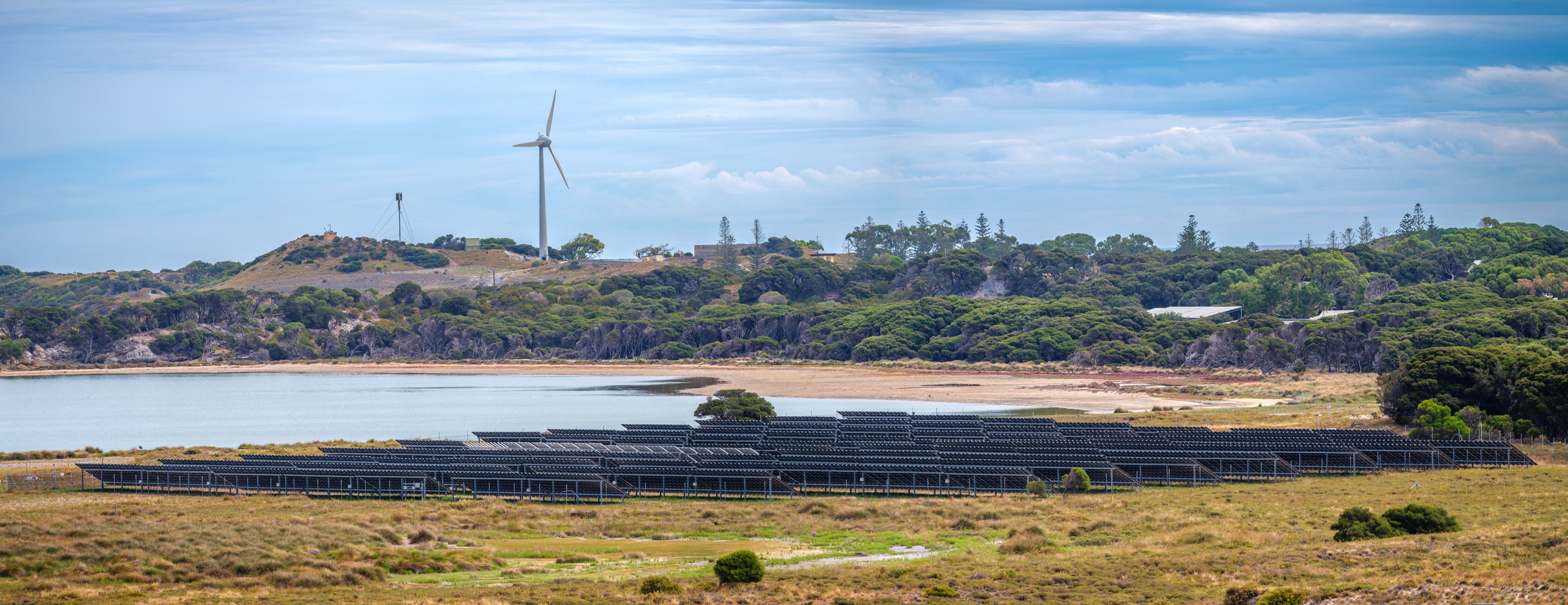 Solar farm and wind turbine