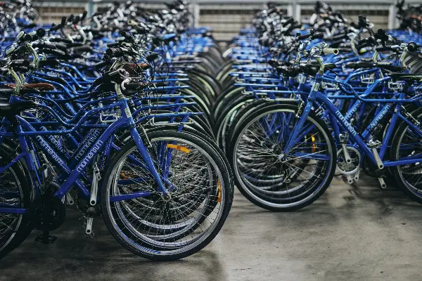 Pedal & Flipper Bike Hire, Rottnest Island