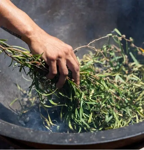 Smoke ceremony by Dooga Waalitj Healing Cultural Experiences.
