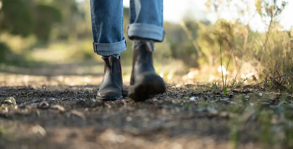 Walking trail