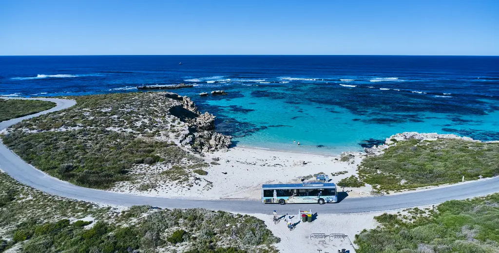 Quokka Coaches