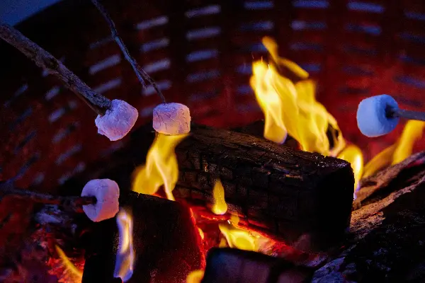 Pinky's at Rottnest island | Marshmallows on the fire