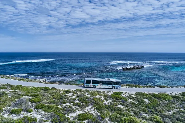 Quokka Coaches Bus Tour