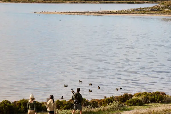Group of people hiking along the salt lakes